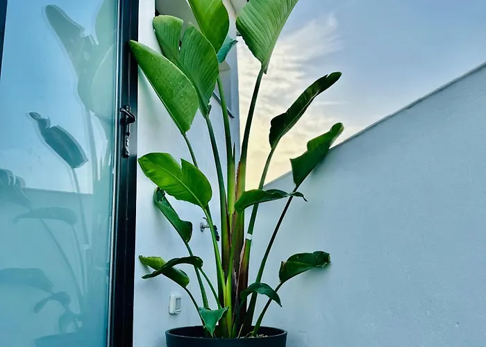 Deluxe Townhouse By Sunkeyrents * Alcalá la Real